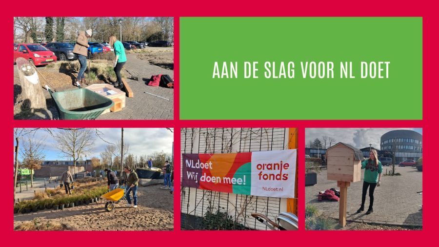 Buurt bibliotheek maken en schoolplein netjes maken voor NLDoet!