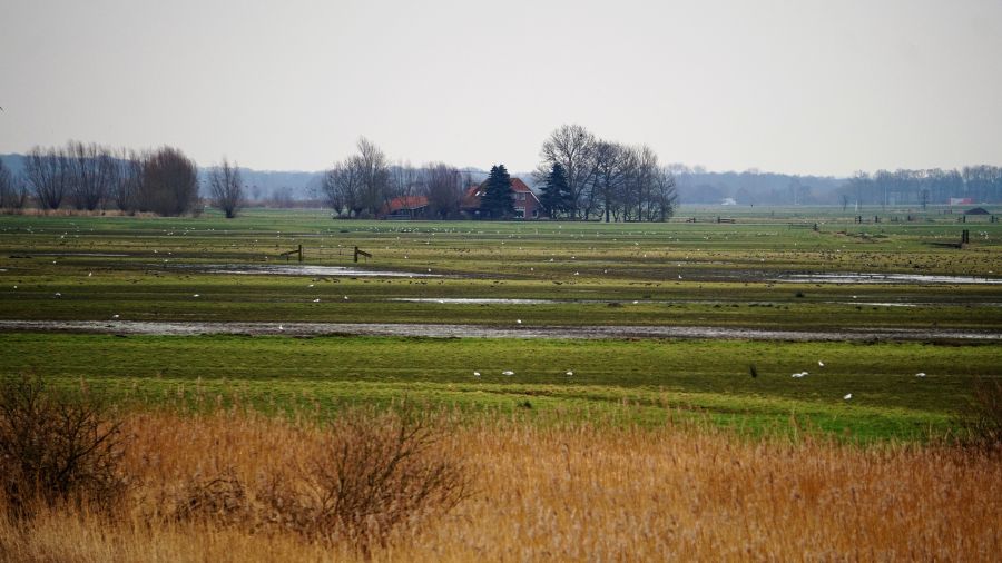 PRO21 stemt tegen  opheffen scheurverbod